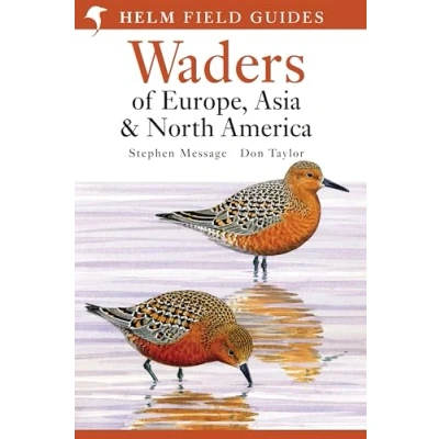Afbeelding van Waders Of Europe, Asia And North America