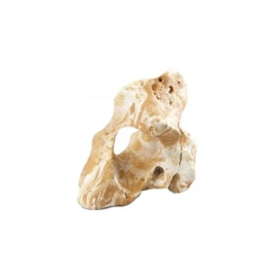 Afbeelding van Aqua Della Aquariumdecoratie Vissen Combo Fellas M 20x11x19,5cm 1st