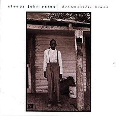 Afbeelding van Sleepy John Estes Brownsville Blues (CD)