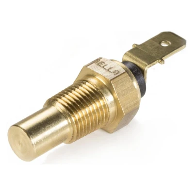 Afbeelding van Hella Temperatuursensor 6PT 009 107 651