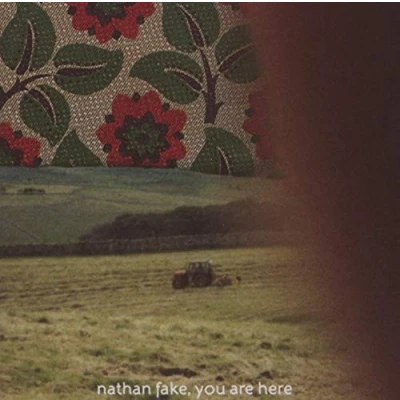 Afbeelding van Nathan Fake You Are Here (CD)
