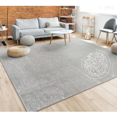 Afbeelding van Paco Home Vloerkleed Woonkamer Effen Eenvoudig En Modern Laagpolig, Versch. Afmetingen Kleuren 200x280 cm
