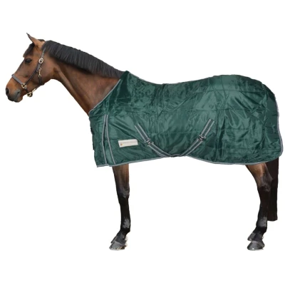 Afbeelding van Waldhausen Staldeken Economic 100g Spar Groen 125/175
