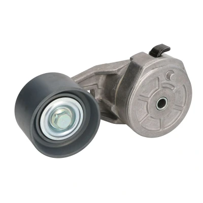 Afbeelding van DAYCO APV1098 Riemspanner