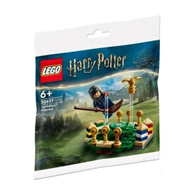 Afbeelding van LEGO 30651 Harry Potter Zwerkbal Training Polybag