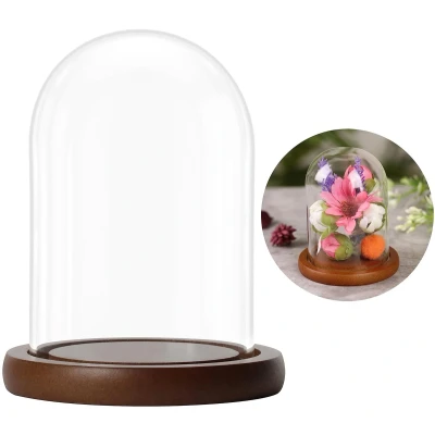 Afbeelding van BELLE VOUS Glazen bel met bruine houten sokkel, 9,4 cm hoog, mini van glas, transparant, voor verlichting, planten, tafeldecoratie
