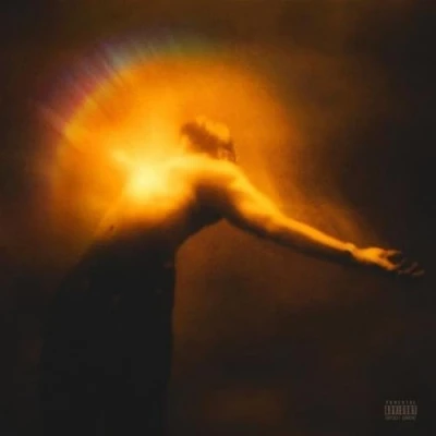 Afbeelding van Big Sean Better Me Than You (LP)