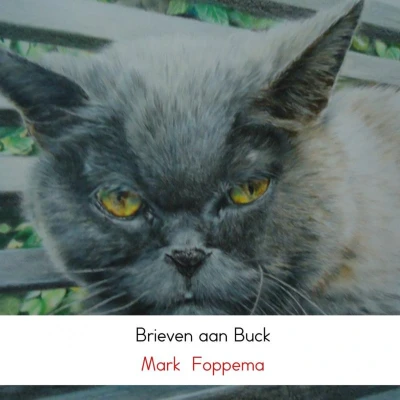 Afbeelding van Brieven aan Buck