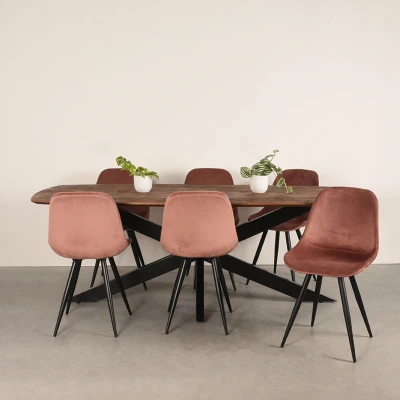 Afbeelding van Zane eettafel 220x100x76 cm espressso mangohout