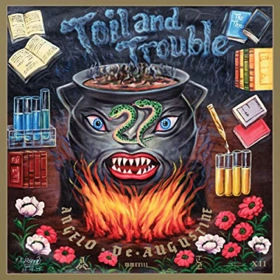 Afbeelding van Angelo De Augustine Toil And Trouble (CD)