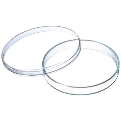 Afbeelding van neoLab 5 stuks petrischalen van borosilicaatglas, Anumbra, transparant, diameter 100 mm, hoogte 15 mm