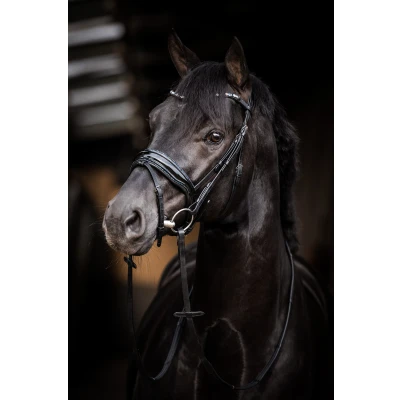 Image de HB Ruitersport Bride Showtime Evalira Bleu/Noir