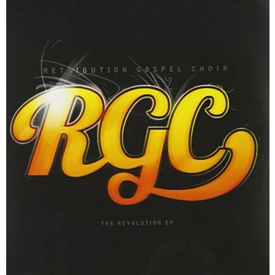 Afbeelding van Retribution Gospel Choir Evolution (Single)