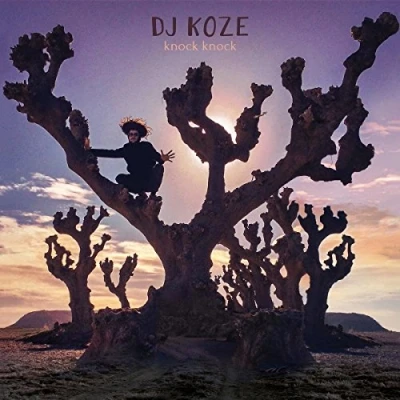 Afbeelding van DJ Koze Knock (3 LPs)