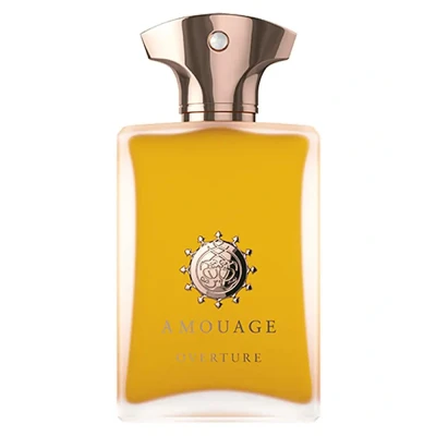 Afbeelding van Amouage Overture Man 100 ml Eau de Parfum Spray