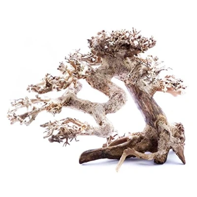 Afbeelding van Bonsai boom Small