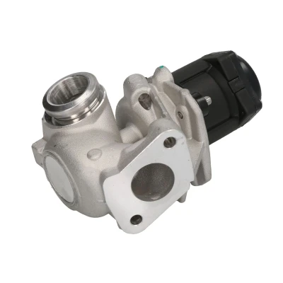 Afbeelding van NGK 97868 EGR klep Electrisch Met pakkingen FORD: FIESTA 6 Van, 6, 5, PEUGEOT: Bipper Tepee, 207 Hatchback, CITROËN: C3 II