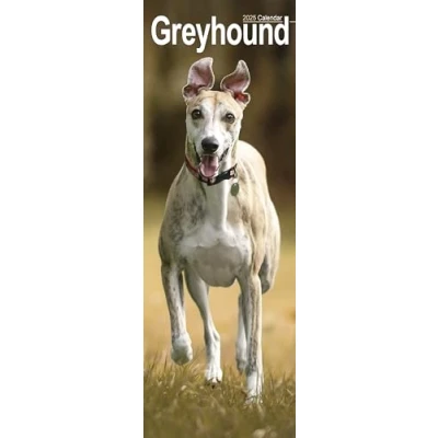 Afbeelding van Greyhound Kalender 2025 Slimline