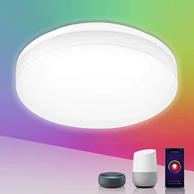 Afbeelding van LE 15 W led plafondlamp met wifi, 1250 lumen instelbare kleuren (RGB + warm/koud wit 2700 6500 K), plafondlamp, waterdicht IP54, afstandsbediening smartphone app, compatibel Alexa/Google
