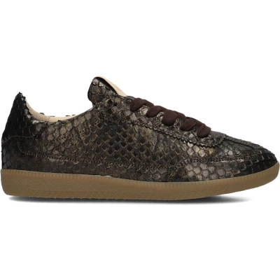 Afbeelding van Fred De La Bretoniere Sneaker Pearl Base Brown Maat 43