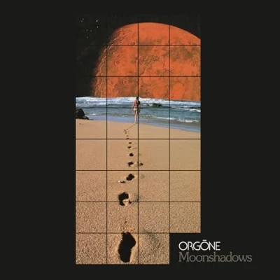 Afbeelding van Orgone Moonshadows (LP)