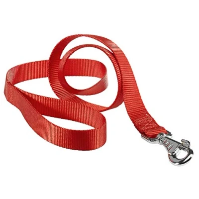 Afbeelding van Ferplast Club Hondenlijn Nylon Rood Breedte 20 mm Lengte 120 cm