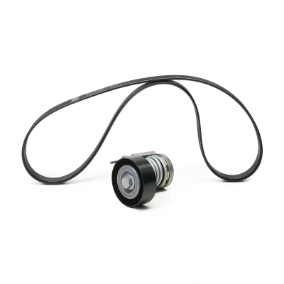 Afbeelding van Poly V riem set SKF VKMA 31098