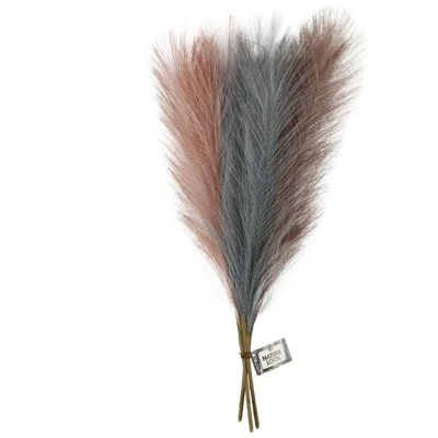 Afbeelding van Pampasgras Blauw/Lila/Roze, 3st.