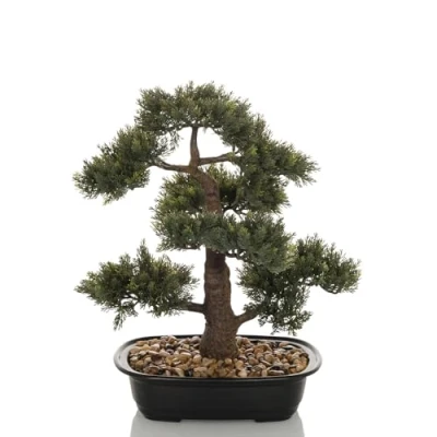 Afbeelding van BONSAI Kunstplant Groen