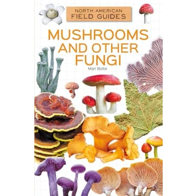 Afbeelding van Mushrooms And Other Fungi