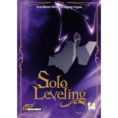 Afbeelding van SOLO LEVELING,14