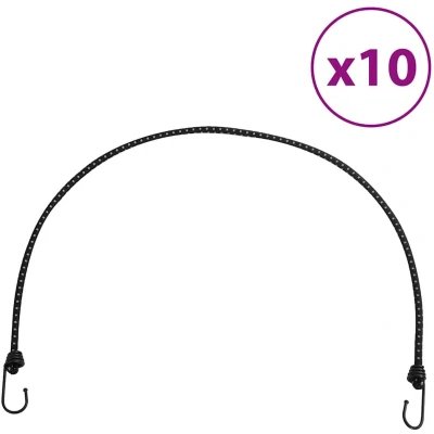 Afbeelding van vidaXL Spanelastieken met reflecterende strips en haken 10 st 100 cm