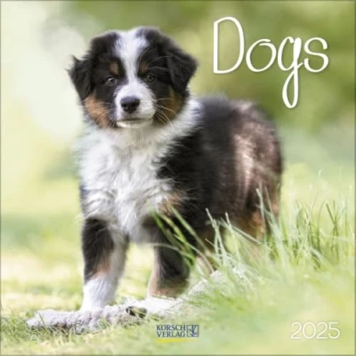 Afbeelding van Dogs Kalender 2025