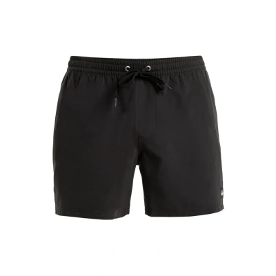 Afbeelding van Quiksilver Everyday Solid 15 Zwemshorts, Heren, Maat: Large, Black