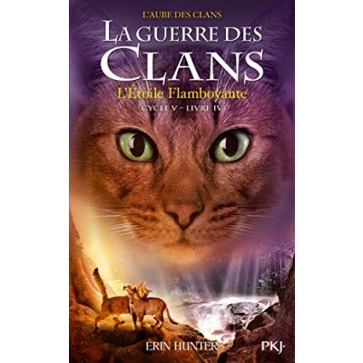 Afbeelding van ISBN 9782266294232 boek Frans Paperback 336 pagina&#039;s