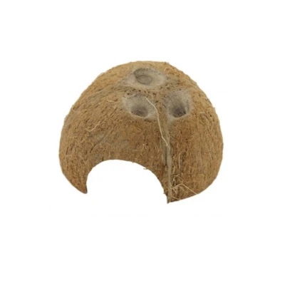 Afbeelding van Ceramicnature Cocosnoot Schuilplaats Aquarium Ornament Bruin