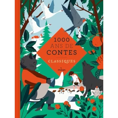 Afbeelding van Mille ans de contes classiques