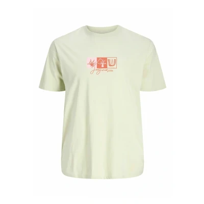 Afbeelding van JACK&amp;JONES JORCANGGU FRONT TEE SS CREW FST PLS Heren T shirts