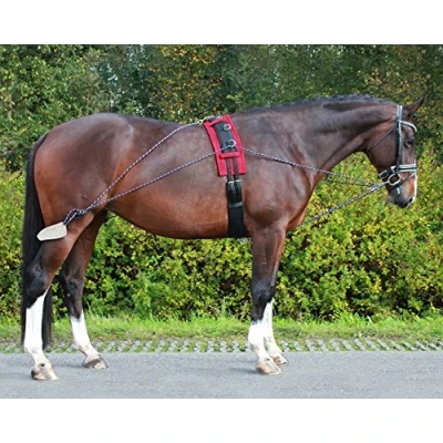 Afbeelding van QHP Longeerhulpteugel maat One size black