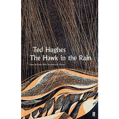 Afbeelding van the Hawk in Rain
