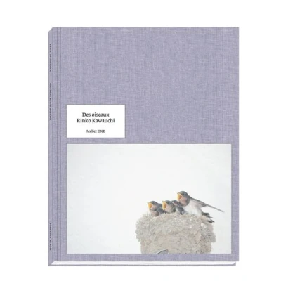 Image de Des oiseaux Rinko Kawauchi version anglaise