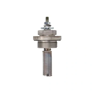 Afbeelding van Gloeilamp, standkachel BorgWarner (BERU) GH931