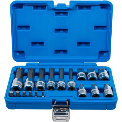 Afbeelding van BGS Dopsleutelbitset 1/4&quot; / 1/2&quot; spline (voor XZN) 18 delig