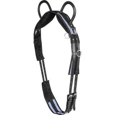 Afbeelding van Surcingle With Two Handles