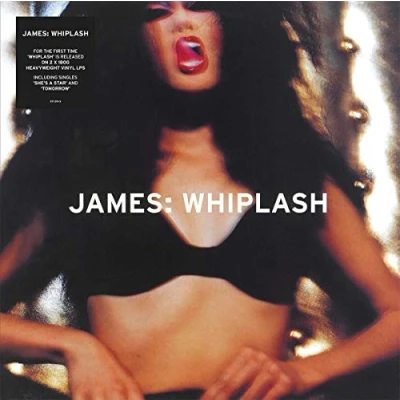 Afbeelding van James Whiplash (LP)