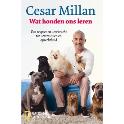 Afbeelding van Wat honden ons leren