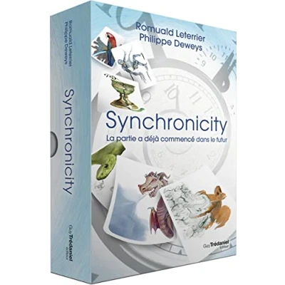 Afbeelding van SYNCHRONICITY (LIVRE + 100 CARTES)