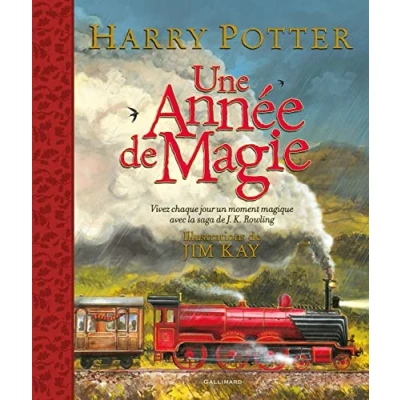 Afbeelding van Une année de magie: Vivez chaque jour un moment magique
