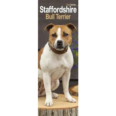 Afbeelding van Staffordshire Bull Terrier Kalender 2025 Slimline