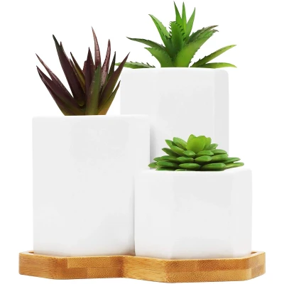 Afbeelding van Belle Vous Wit Keramiek Vetplanten Planten Potten met Bamboe Tray (3Pak) Klein, Medium en Groot cactus &amp; Bloemen Pot Set Drainage Gaten Voor Kantoor, Balie, Binnen Tafel Buiten Tuin